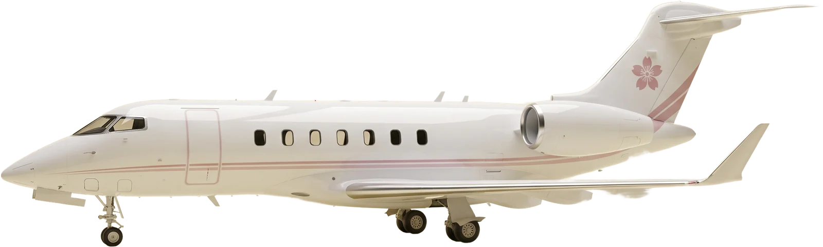 Camellia 16 ultra-long-range jet