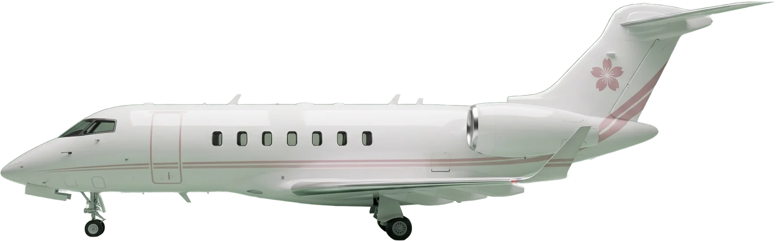 Magnolia 12 super-midsize jet